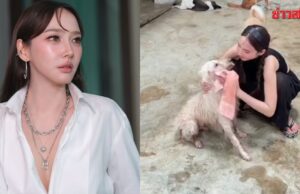 อั้ม พัชราภา ลงมืออาบน้ำหมาจรด้วยตัวเอง ดูแลกว่า 130 ตัว พี่เอ ศุภชัย เผยเพิ่งเห็นครั้งแรก