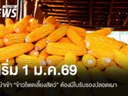 ครม.อนุมัติหลักการนำเข้า “ข้าวโพดเลี้ยงสัตว์” ต้องมีใบรับรองปลอดเผา เริ่ม 1 ม.ค.69