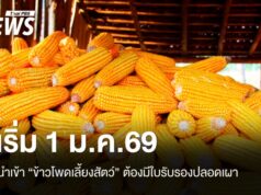 ครม.อนุมัติหลักการนำเข้า “ข้าวโพดเลี้ยงสัตว์” ต้องมีใบรับรองปลอดเผา เริ่ม 1 ม.ค.69